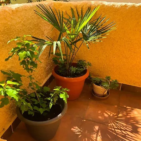 Apartman House Maja Medulin