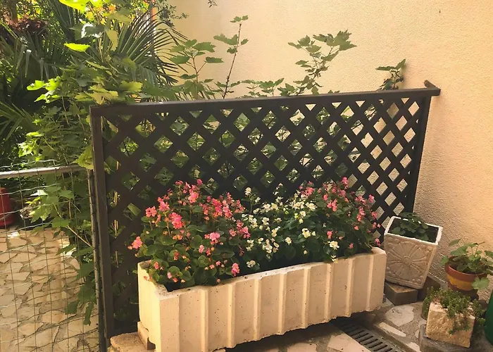 House Maja * 메덜린